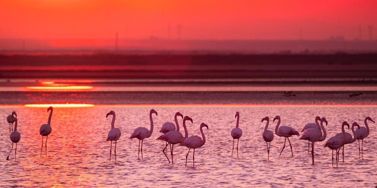 Cabras, Vacanze A Due Passi Dal Mare المظهر الخارجي الصورة